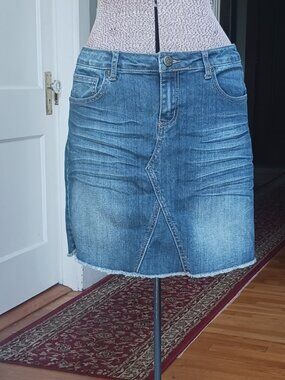 Earl Jean Denim Mini Skirt